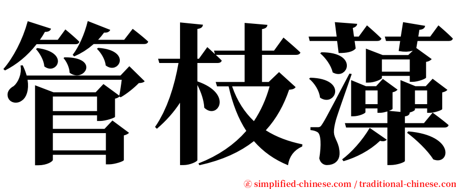 管枝藻 serif font