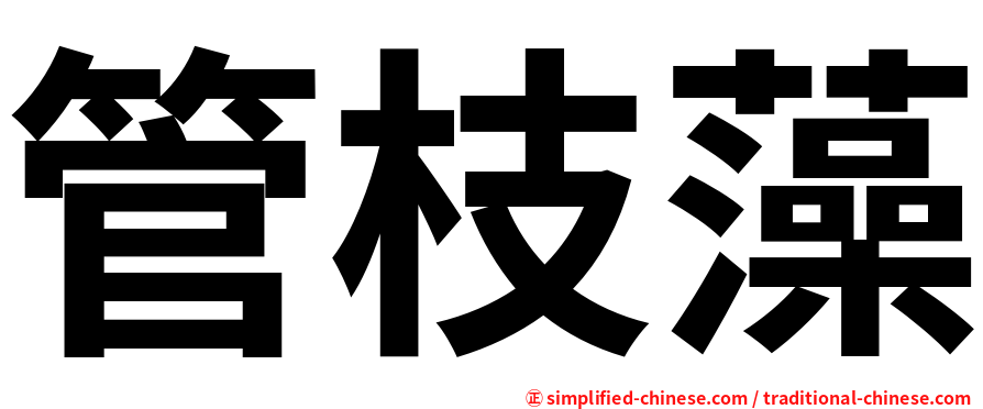 管枝藻