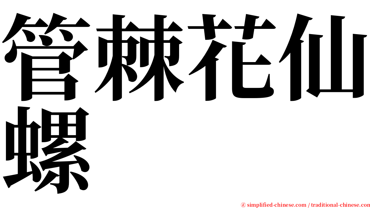 管棘花仙螺 serif font