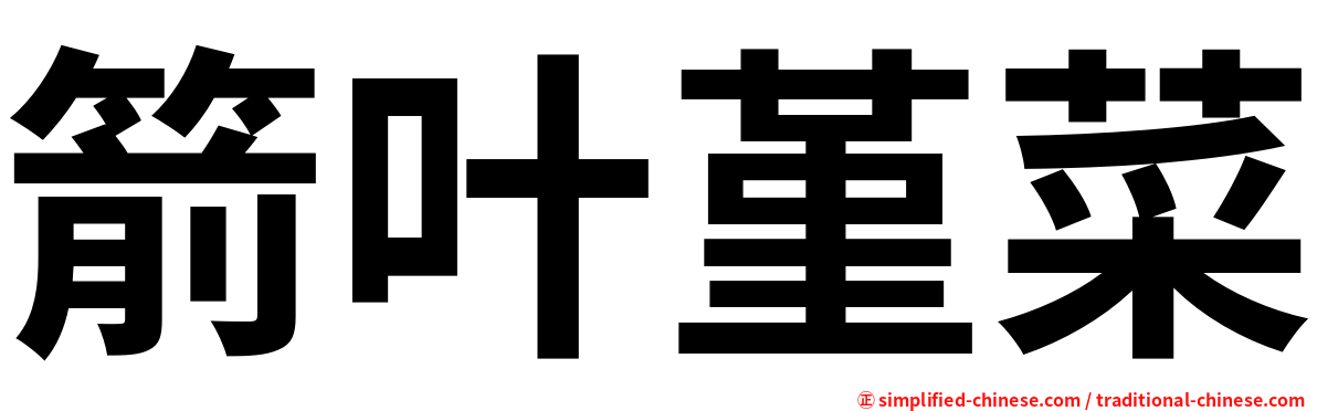 箭叶堇菜
