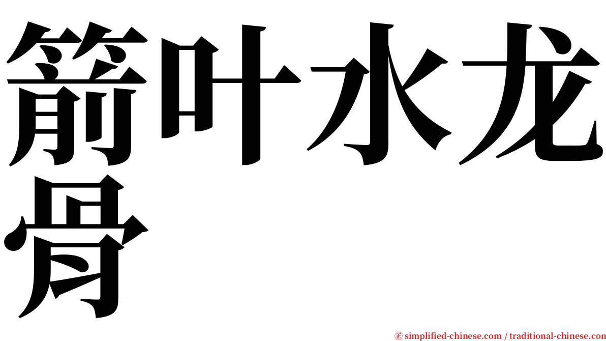 箭叶水龙骨 serif font