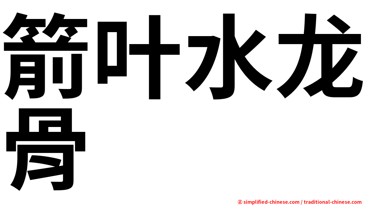 箭叶水龙骨