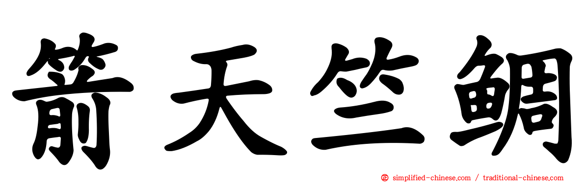 箭天竺鲷