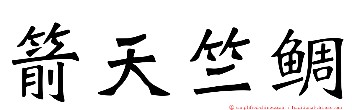 箭天竺鲷