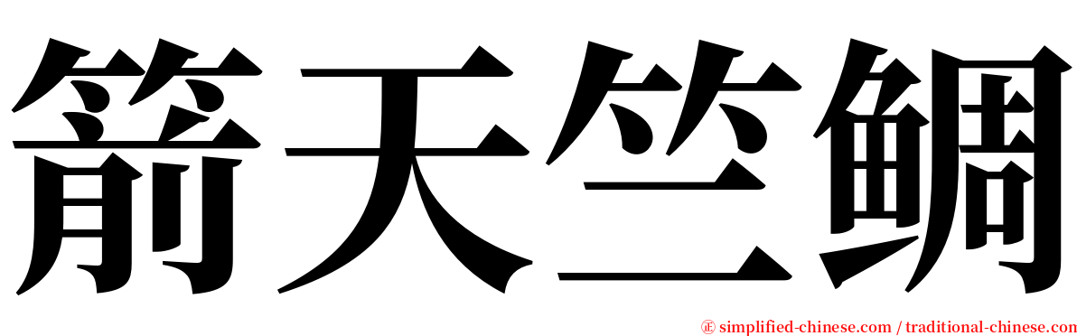 箭天竺鲷 serif font