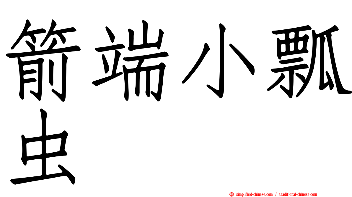 箭端小瓢虫
