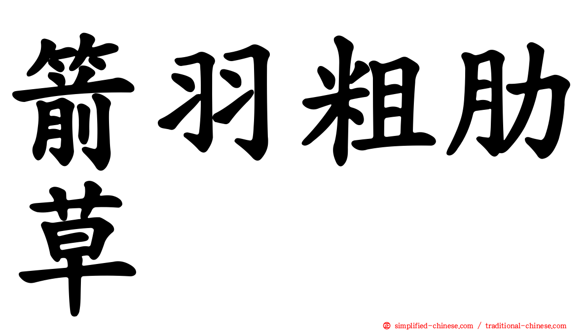 箭羽粗肋草