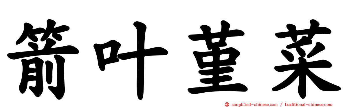 箭叶堇菜