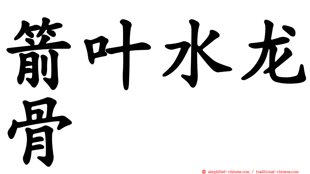 箭叶水龙骨