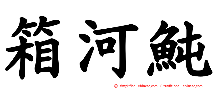 箱河鲀