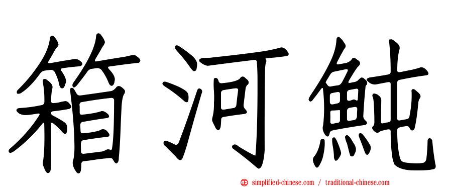 箱河鲀