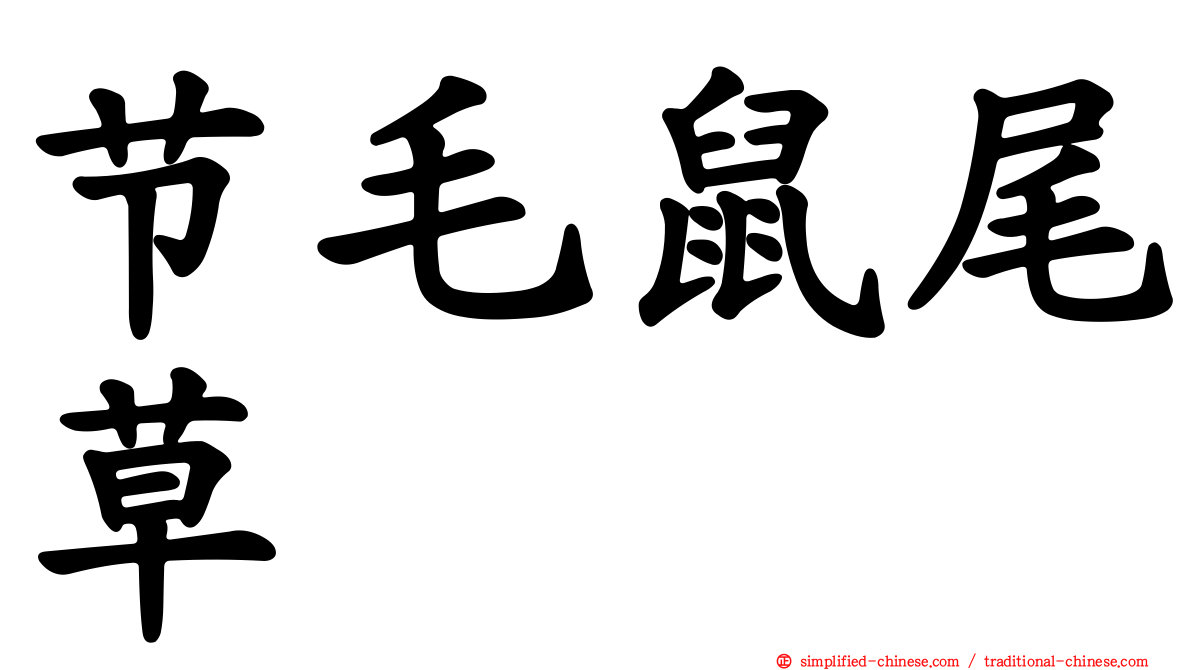 节毛鼠尾草