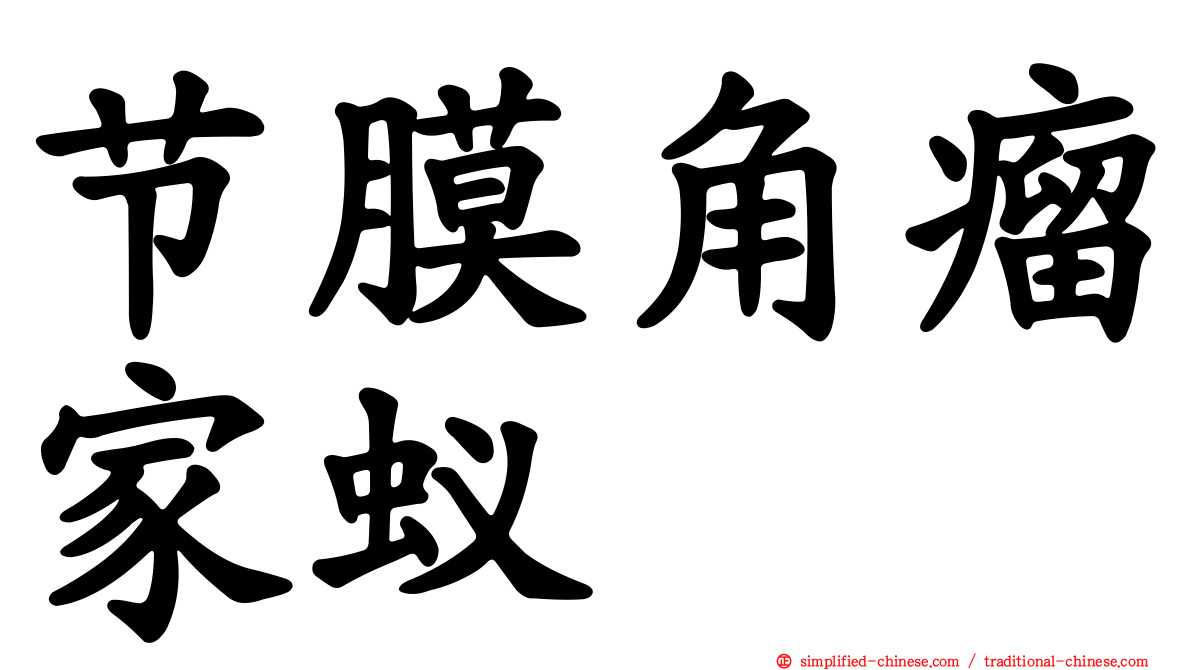节膜角瘤家蚁