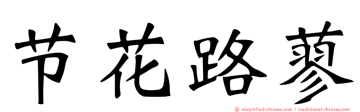 节花路蓼