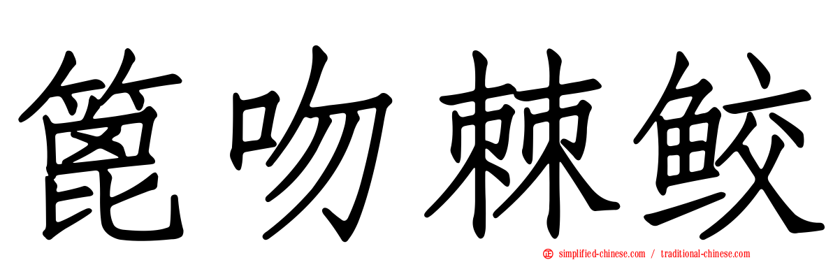 篦吻棘鲛
