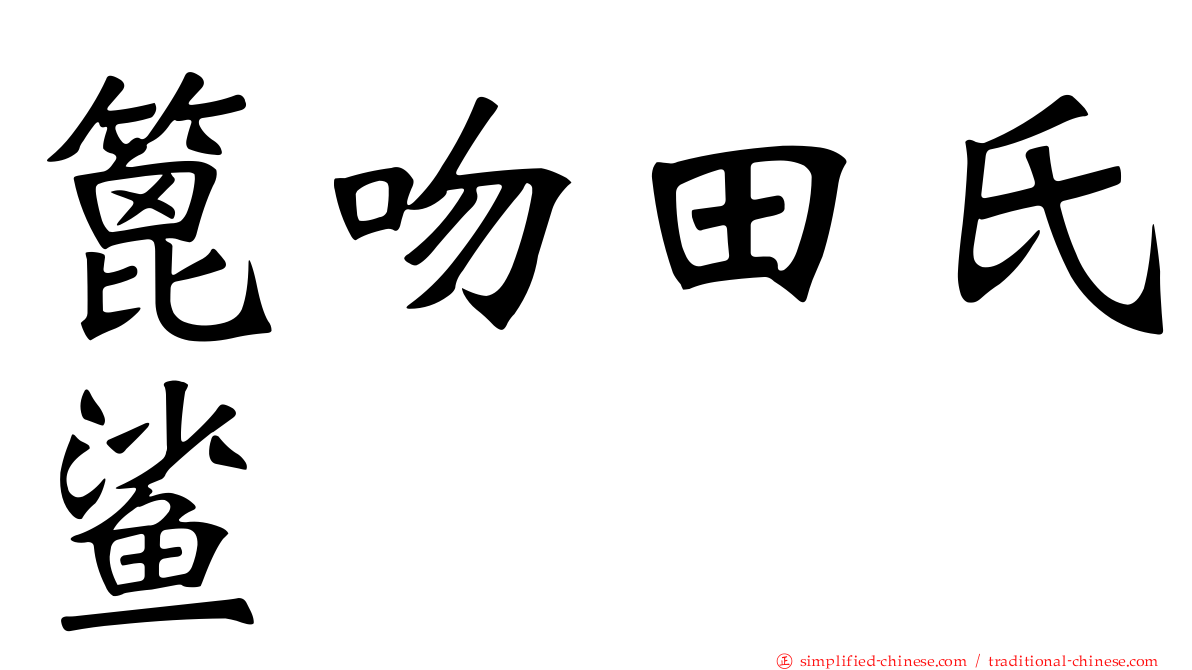 篦吻田氏鲨