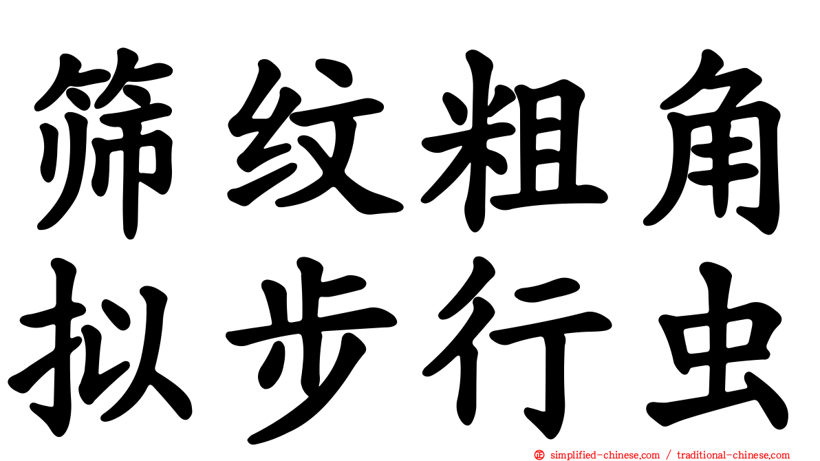 筛纹粗角拟步行虫