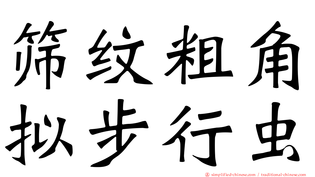 筛纹粗角拟步行虫