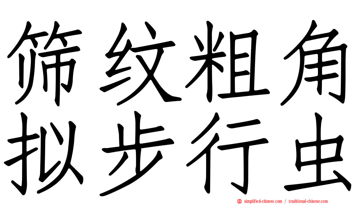 筛纹粗角拟步行虫
