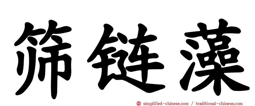 筛链藻