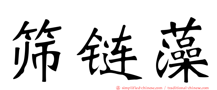 筛链藻