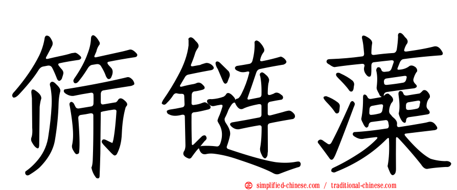 筛链藻