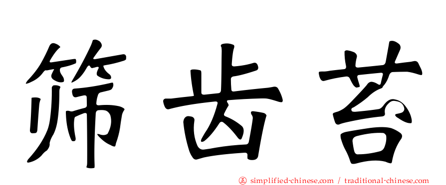 筛齿苔