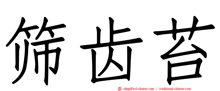 筛齿苔