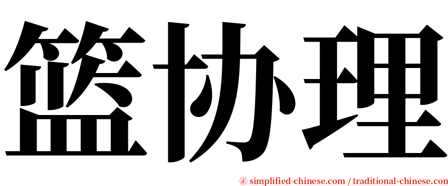 篮协理 serif font