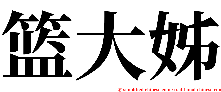 篮大姊 serif font