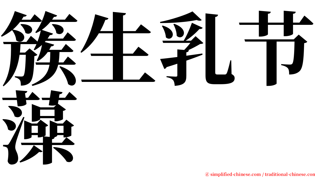 簇生乳节藻 serif font