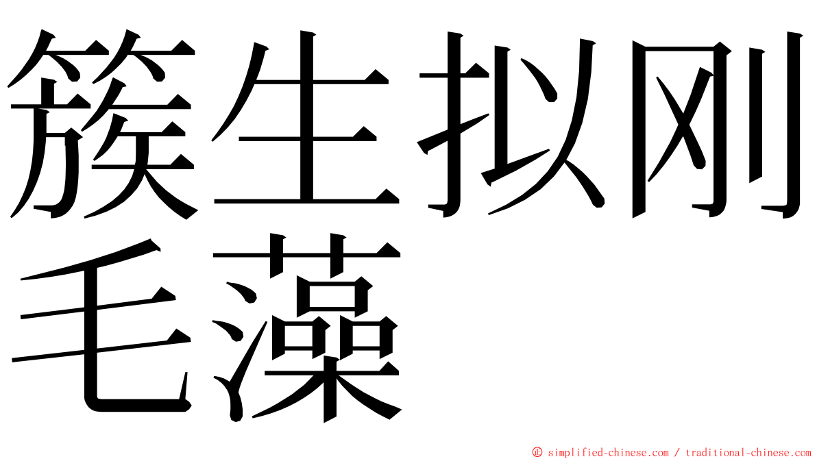 簇生拟刚毛藻 ming font