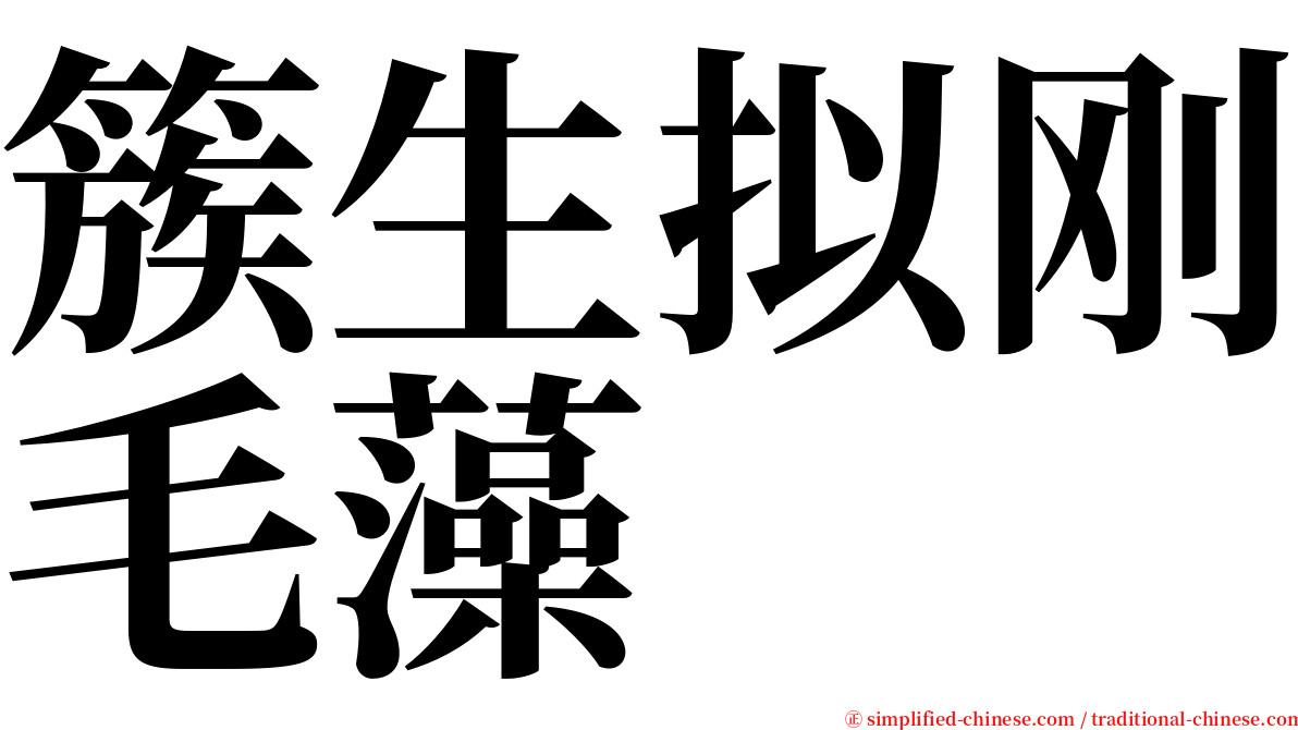 簇生拟刚毛藻 serif font