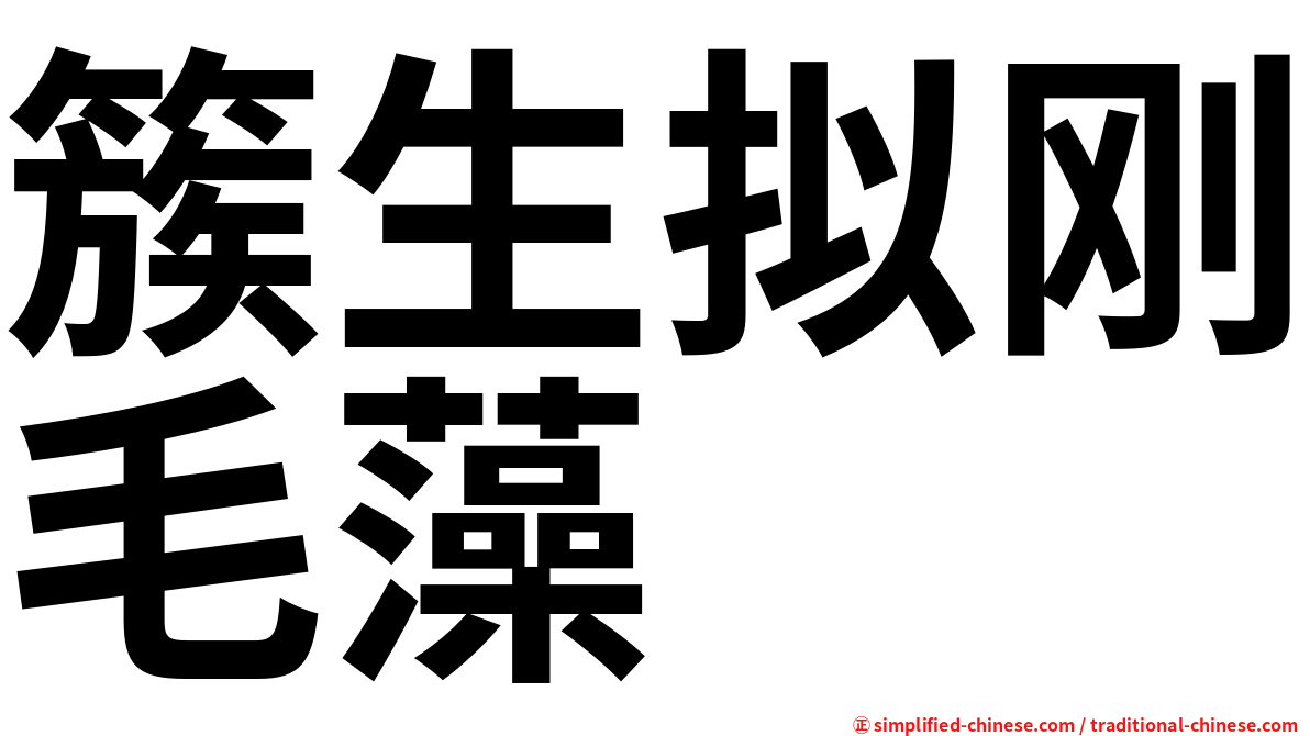簇生拟刚毛藻