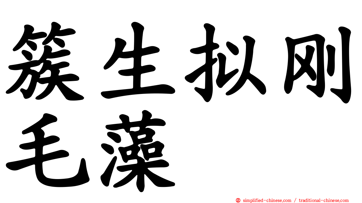 簇生拟刚毛藻