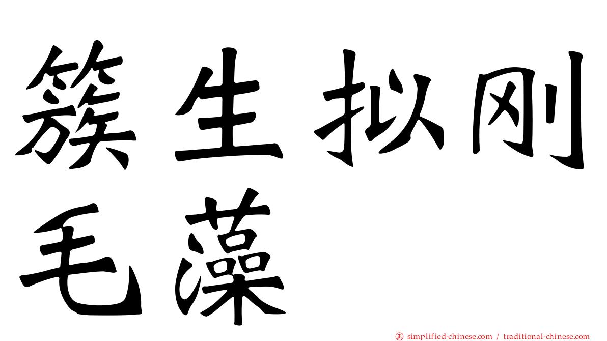 簇生拟刚毛藻