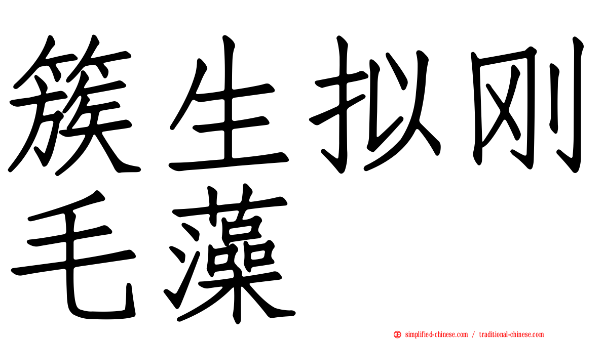 簇生拟刚毛藻