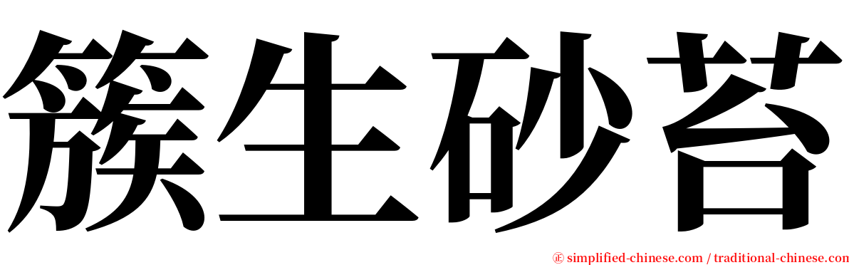 簇生砂苔 serif font