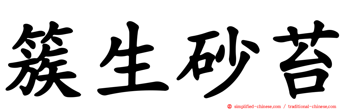 簇生砂苔
