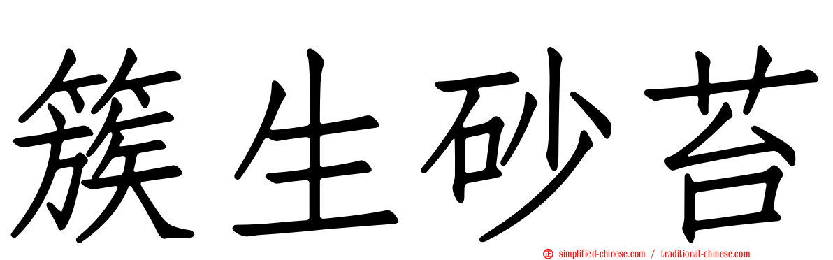 簇生砂苔