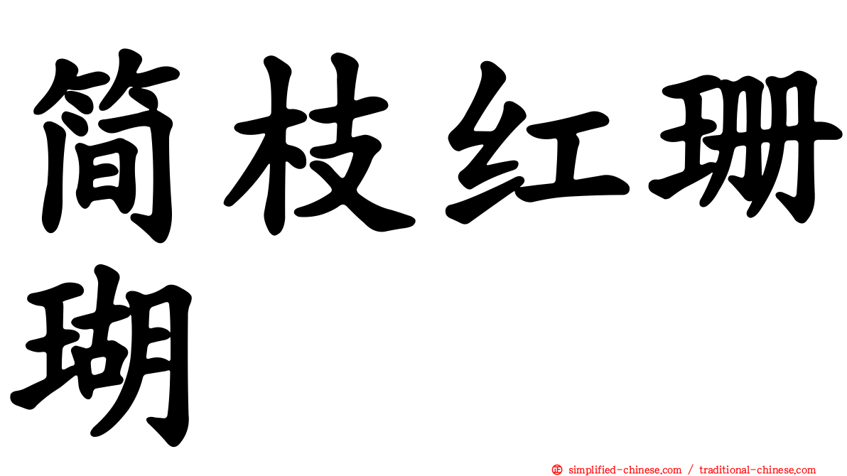 简枝红珊瑚