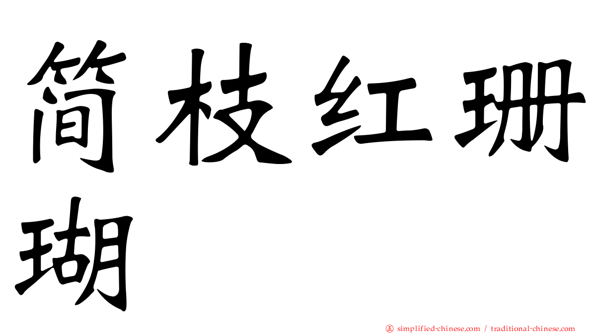 简枝红珊瑚