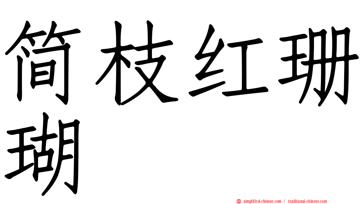 简枝红珊瑚