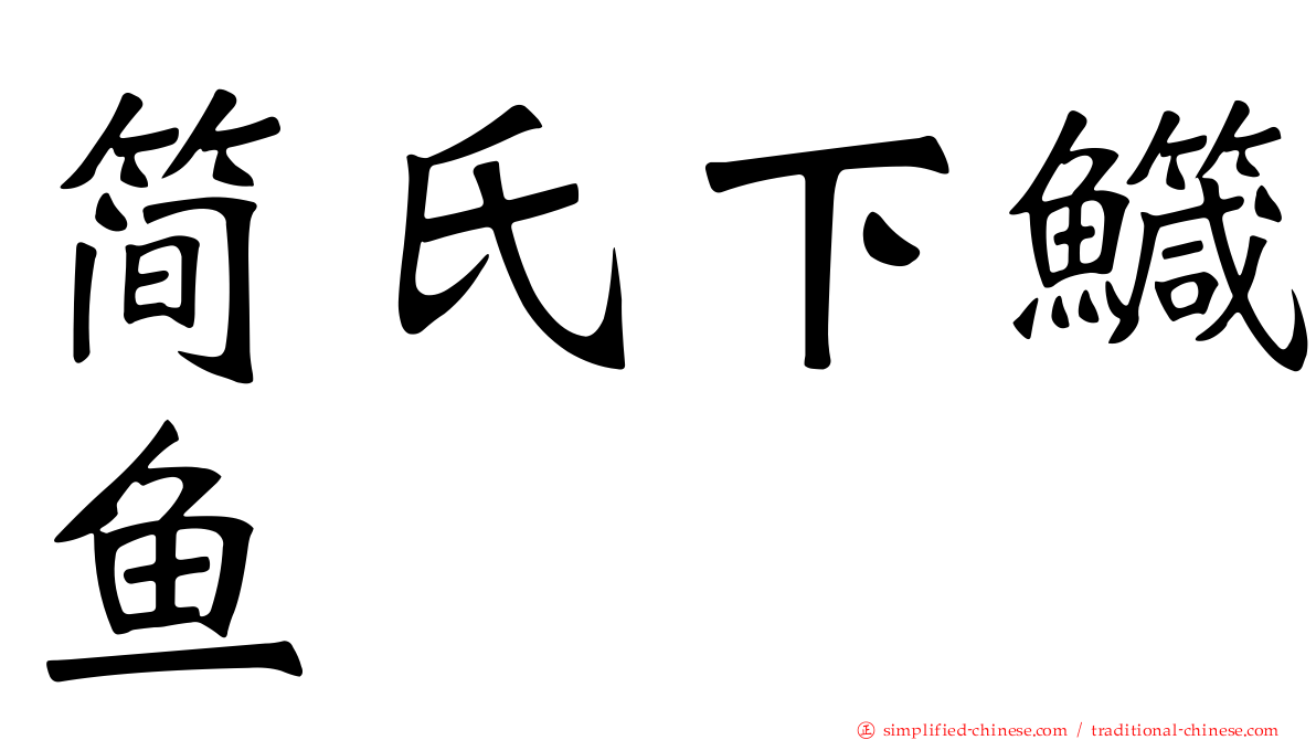 简氏下鱵鱼