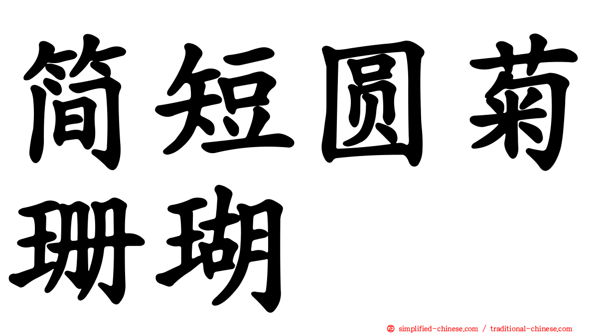 简短圆菊珊瑚