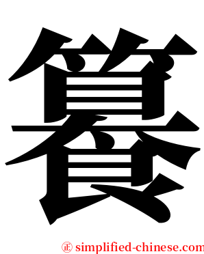 籑 serif font