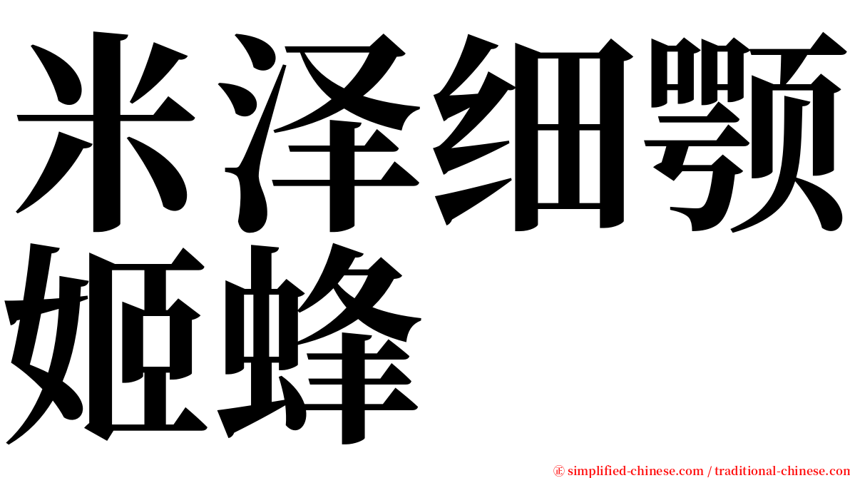 米泽细颚姬蜂 serif font