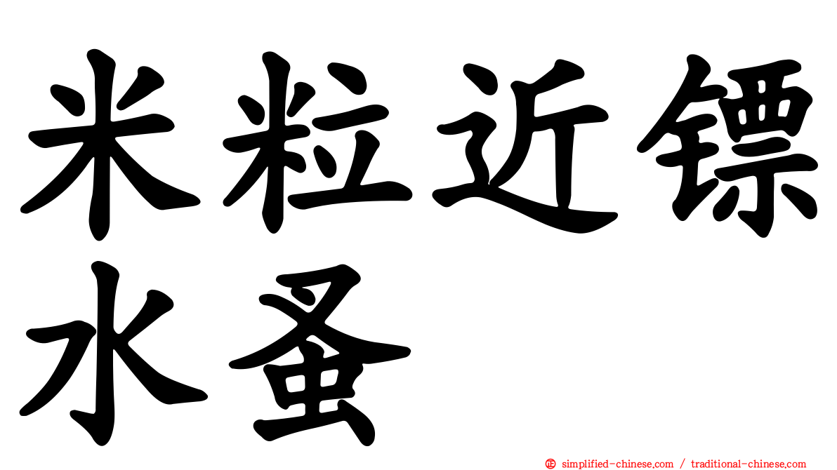 米粒近镖水蚤