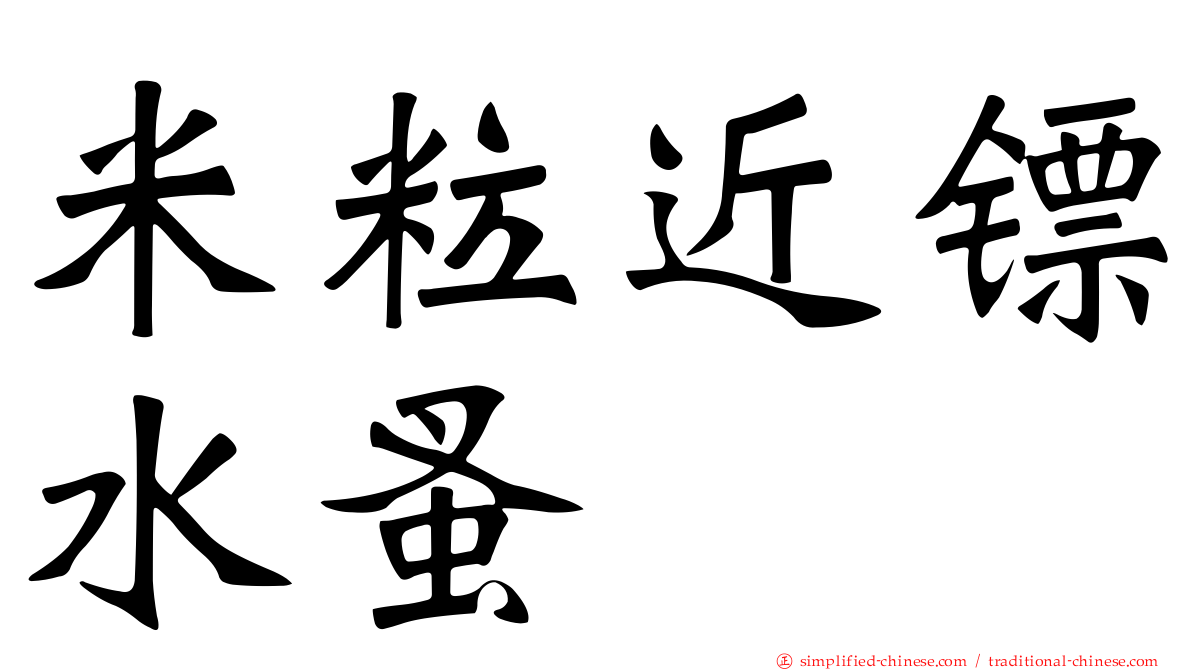 米粒近镖水蚤