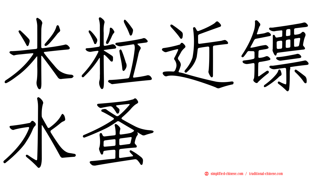 米粒近镖水蚤